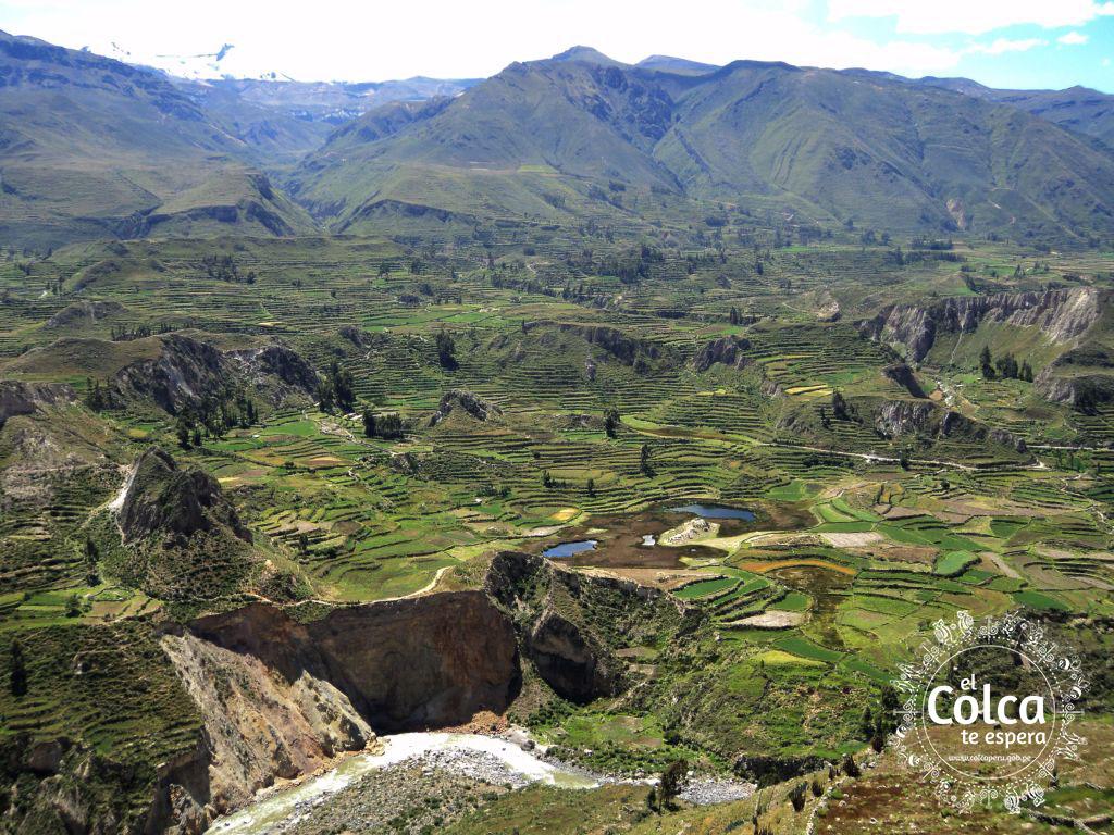 Vista del Cañón del Colca
